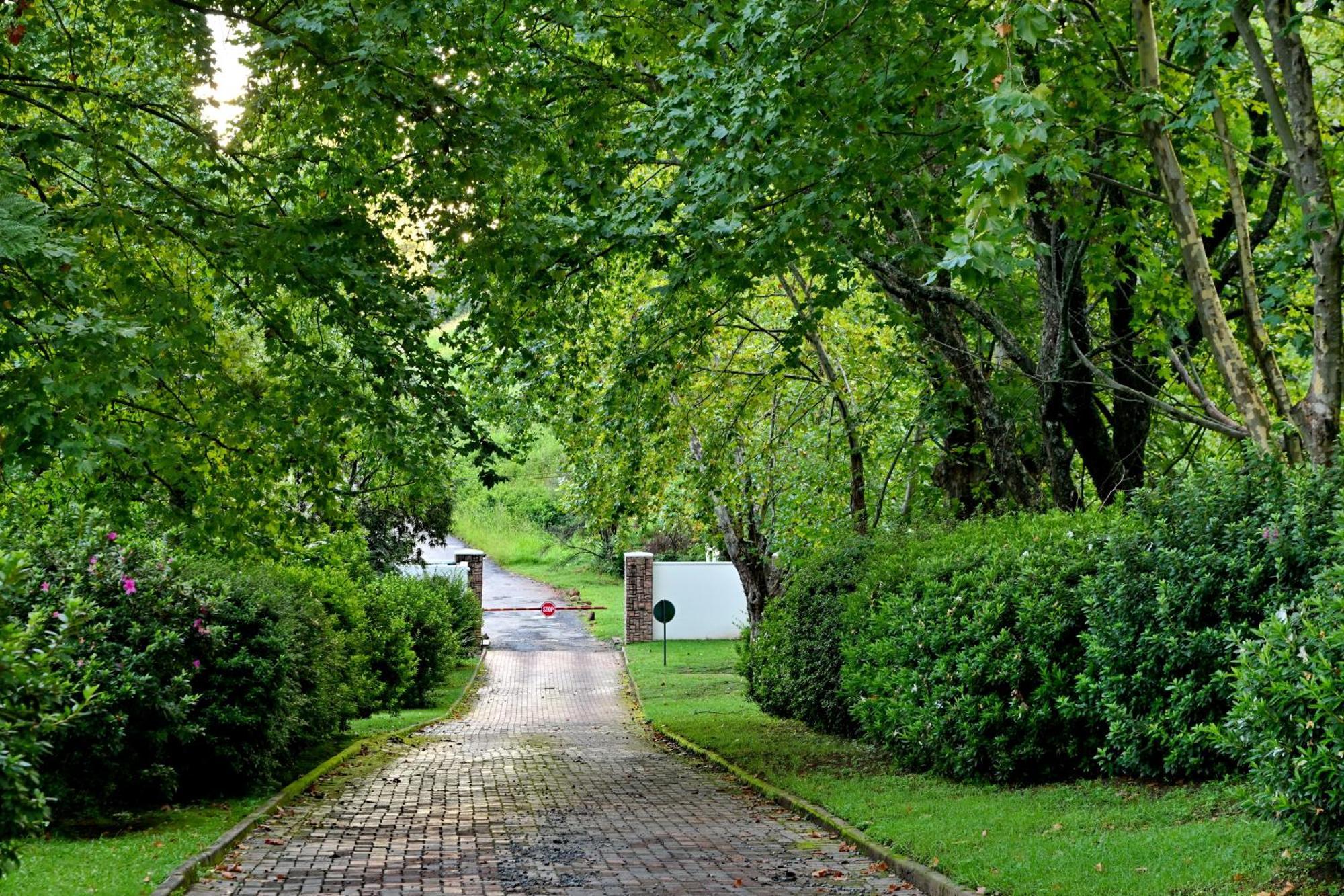 Champagne Valley Champagne Castle Hotel מראה חיצוני תמונה
